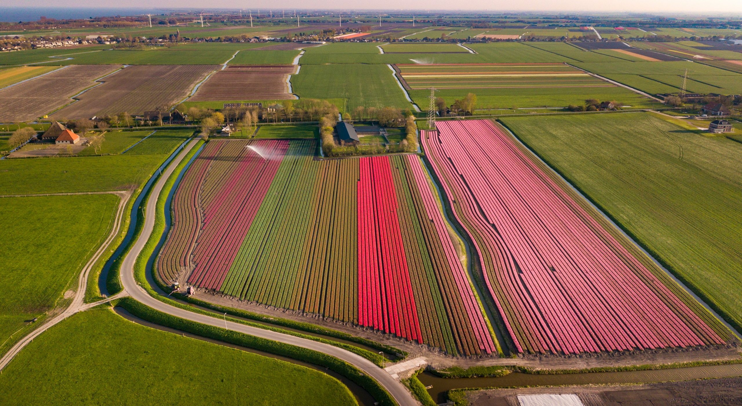 Tulpen-Luchtfoto